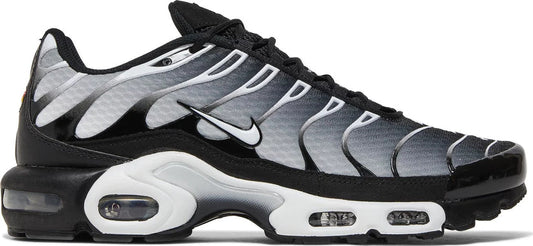 Nike Air Max TN 'Metallic Silver'