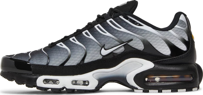 Nike Air Max TN 'Metallic Silver'