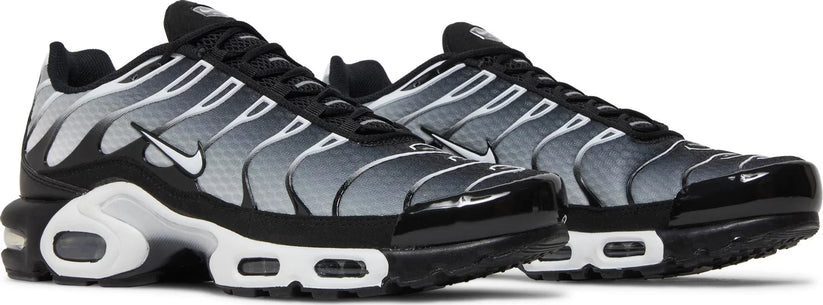 Nike Air Max TN 'Metallic Silver'